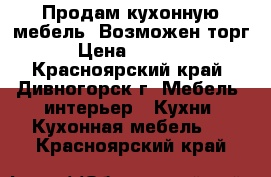 Продам кухонную мебель. Возможен торг. › Цена ­ 10 000 - Красноярский край, Дивногорск г. Мебель, интерьер » Кухни. Кухонная мебель   . Красноярский край